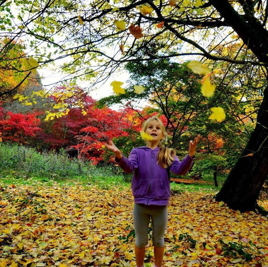 EventsAndBreaks's profile picture. Events-Meetings-Breaks Specialist | Design of Unique experiences |  Unforgetable trips | Bespoke private moments  | Corporate & Individual
By Carolina Suarez