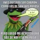 aaron palomo - @aaronpalomo8 - Twitter