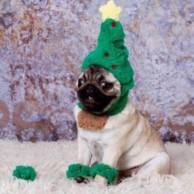 ayye just trying lighten up your day !