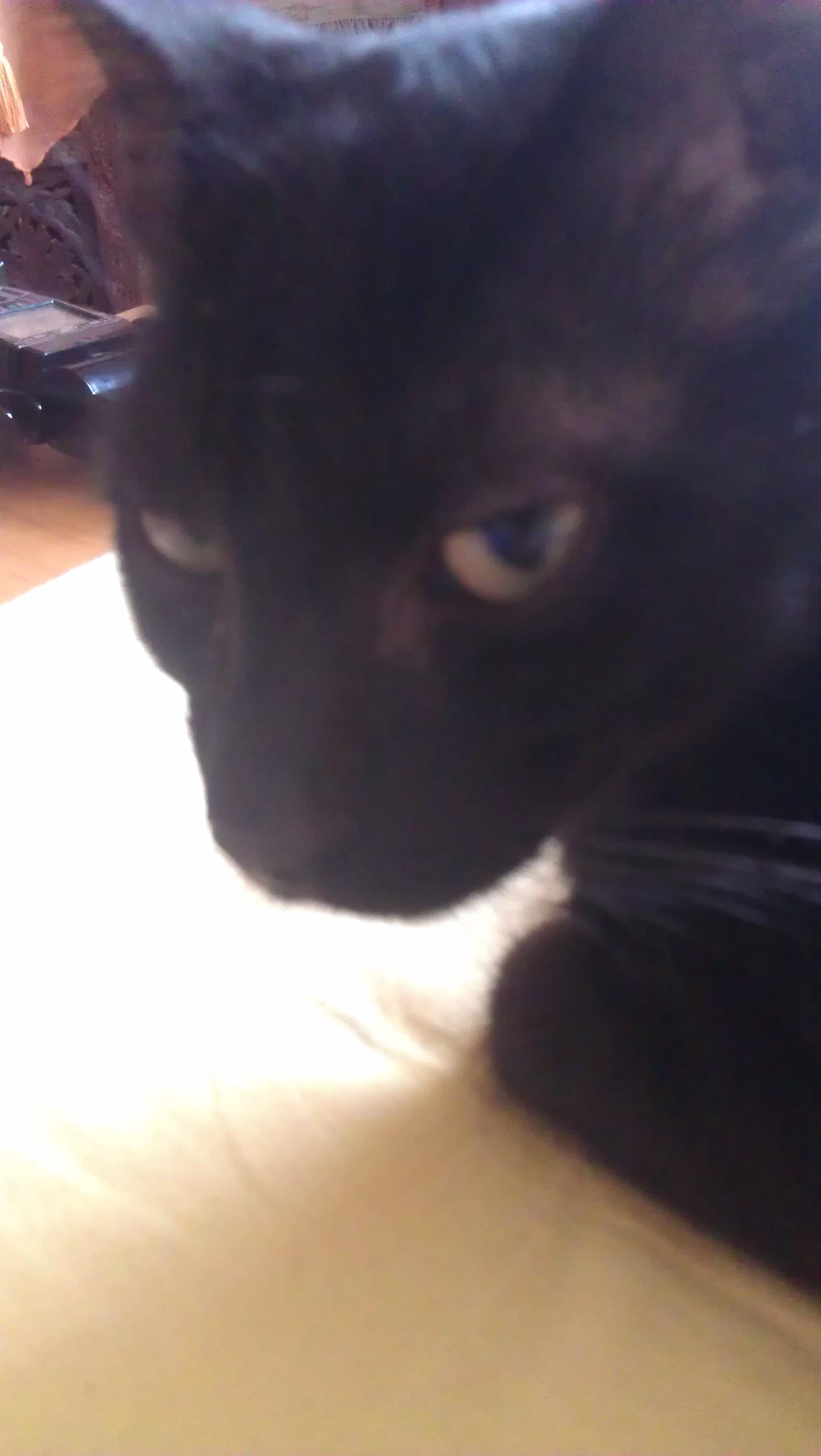 RafaRieder's profile picture. 