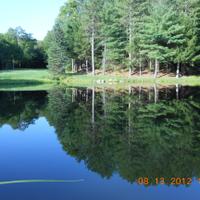 Ratzon (@ratzonadam) 's Twitter Profile Photo