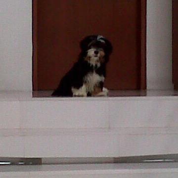 Maytelotfe's profile picture. 