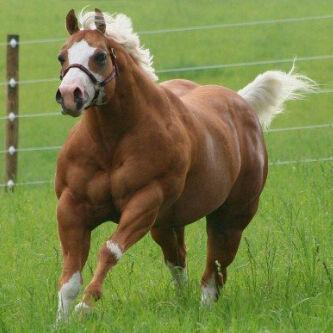 pastranefl's profile picture. Venezolano, Amante de la Naturaleza creada por Dios. Políticamente creo en una tercera Opción en hechos y resultados Concretos.