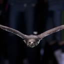 casey anders - @caseyanders777 - Twitter