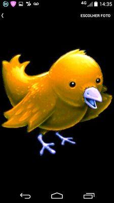 TWITTER criado para conquistar pontos no Blablablamentro do Tim Beta. SIGO DE VOLTA TODOS e no FOURSQUARE também. OK