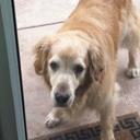 Sue McDermott - @susiemcdemott - Twitter