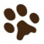 Evento de recaudación de fondos destinados a Rescate Animal Ecuador - Sábado 29 de noviembre del 2014