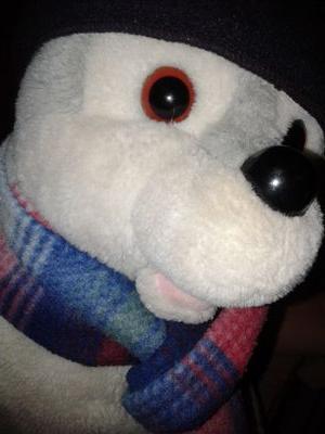 Well travelled seal, likes fish, buns and chocolate.