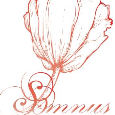 somnusoo0112's profile picture. weibo:SomnuS0112