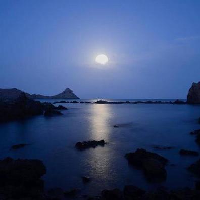 Manolo_00001's profile picture. 