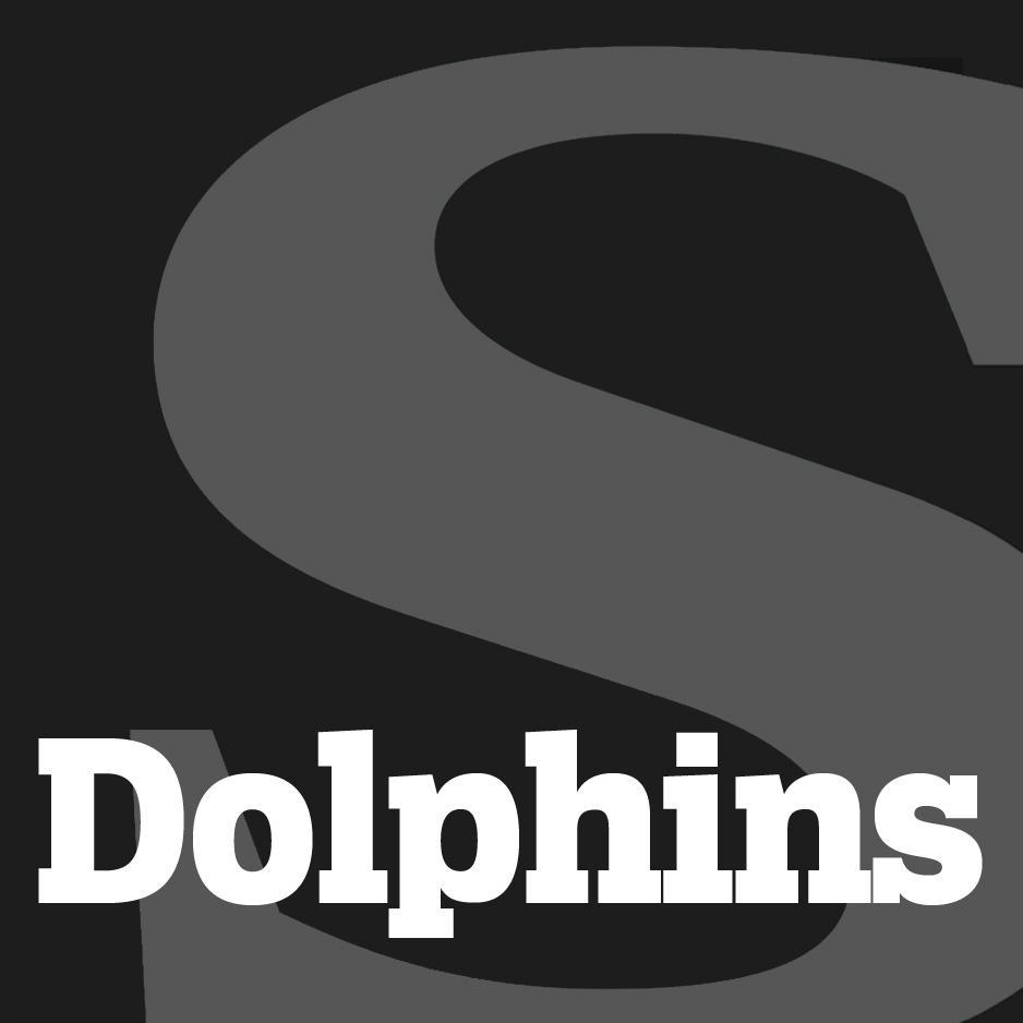 SunSentinel Dolphins Profile