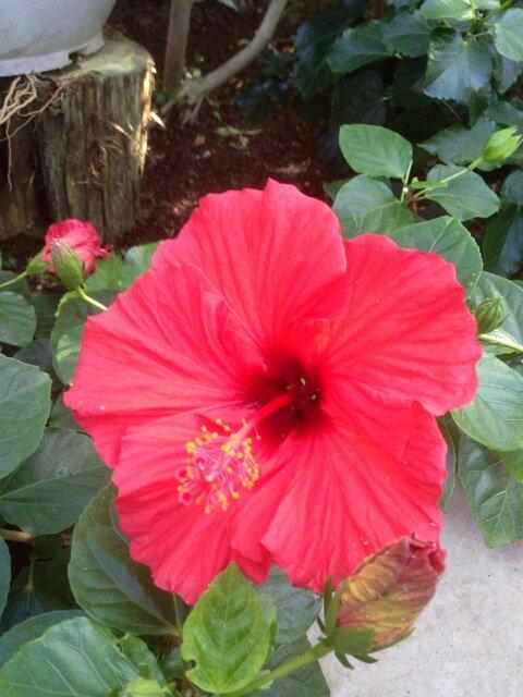 keion22yuka's profile picture. パンケーキと芋がだいすきです。