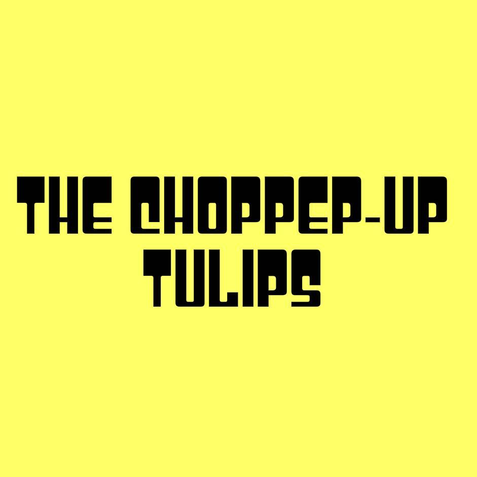 choppeduptulips's profile picture. We are an alternative 60s influenced rock band.  We are all college undergrads trying to make it happen.