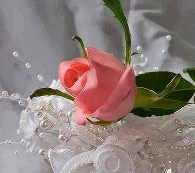 Freesyria2014_'s profile picture. 