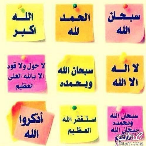 ‏اللهم اغفر لنايف وارحمه وأعفُ عنه وأكرم نزله ووسِّع مدخله اللهم أسكنه فسيح جناتك ودار رضوانك وتغمده بواسع رحمتك وكريم مغفرتك..

 يارب جنتك لنايف