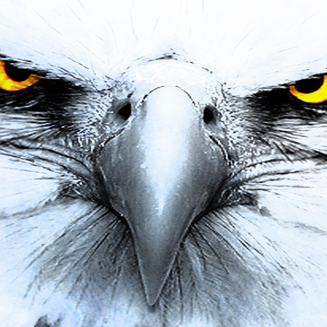 Shogun2025's profile picture. 