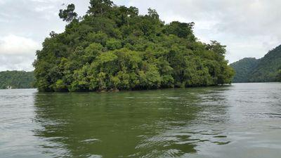 PConap's profile picture. Parque Nacional Río Dulce