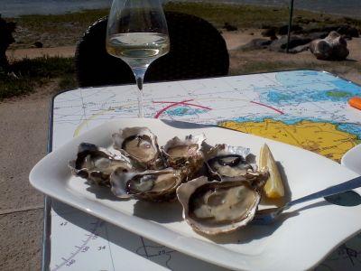 bertoc66's profile picture. 