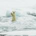 thalassa34 (@thalassa34) Twitter profile photo