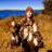 Tanner_wiegand1's profile image