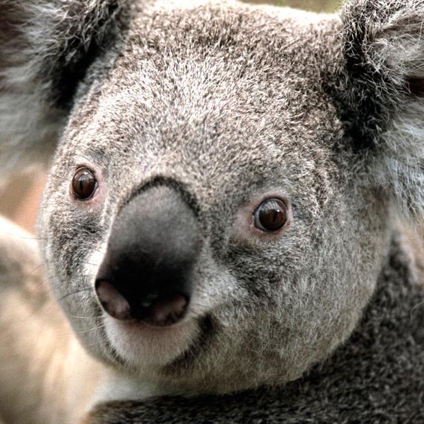 amyy723's profile picture. 