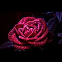 Melissa Noakes - @noakes_melissa - Twitter