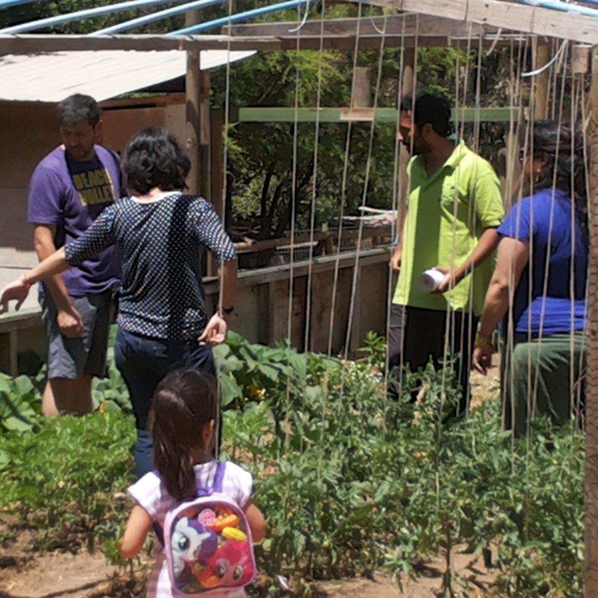 Neaphysis Ltda es una Consultora preocupada por el Desarrollo Sustentable, considerando los ámbitos Medioambiental, Seguridad laboral  y Responsabilidad Social.