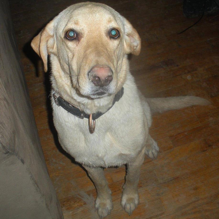 fatenabu1's profile picture. 