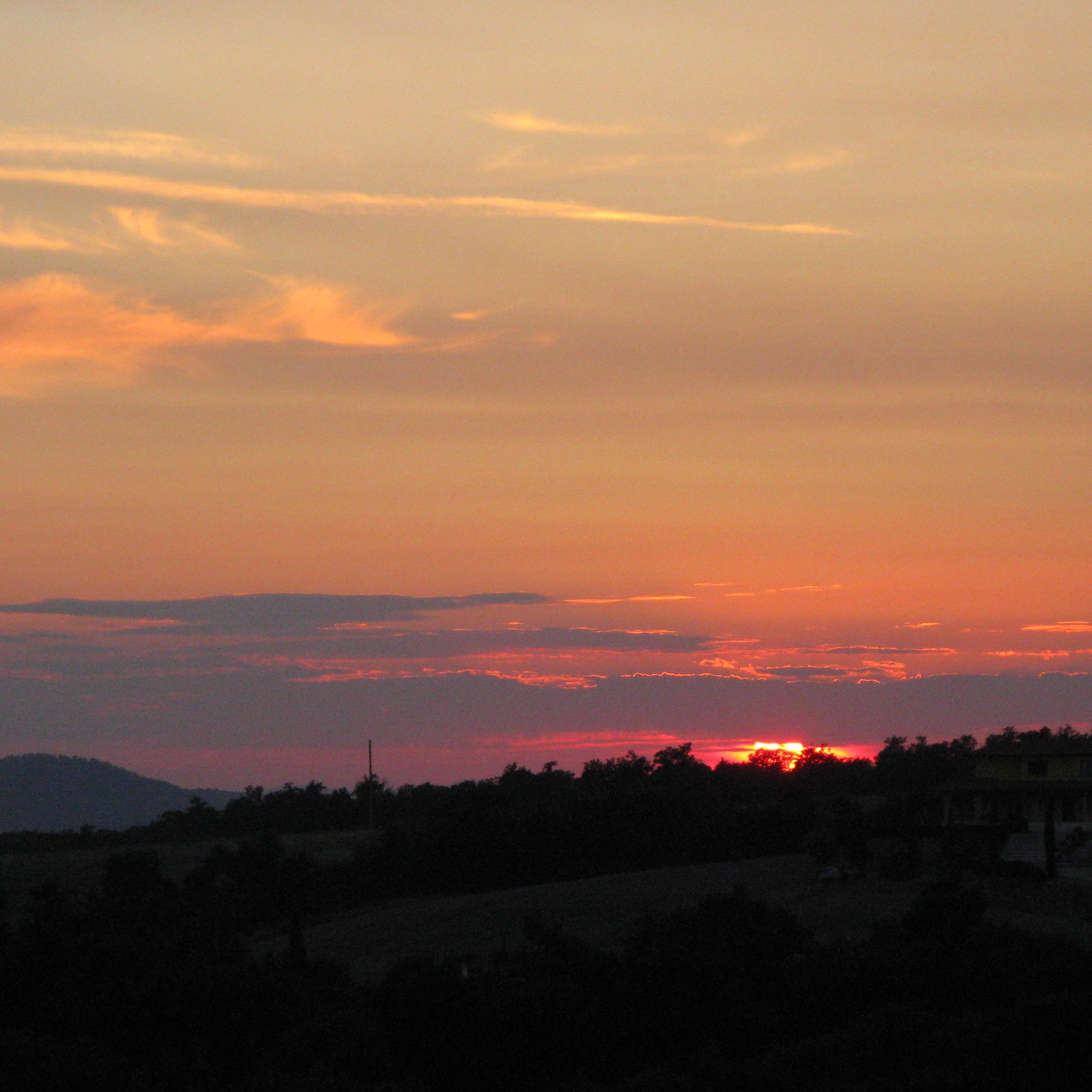 SergioMercuri55's profile picture. 