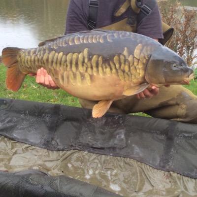 frontfish's profile picture. 