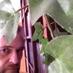Ragnar Hallbergsson (@ragnarwh) Twitter profile photo