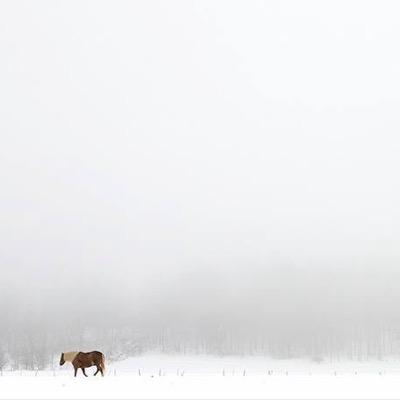 Cosmic-Americana | Profile & Header Photos by @SomeGoodNoise