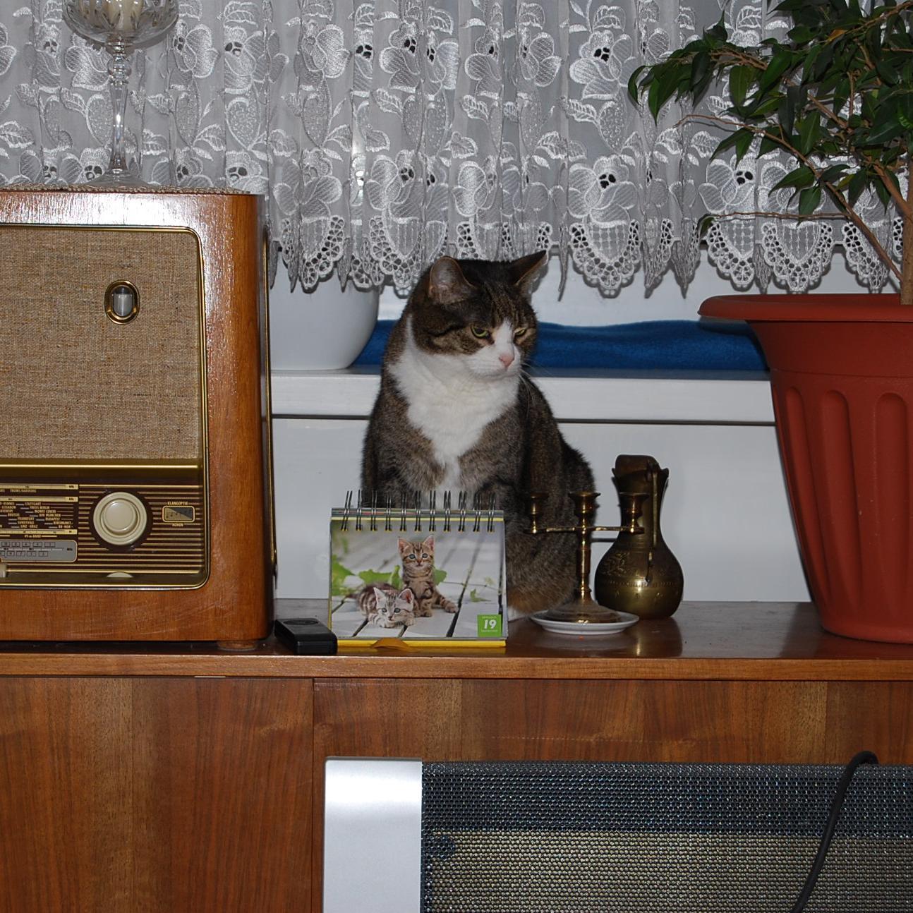 Beate_K1501's profile picture. In Éirinn atá mo chroí!                         Lig síochána nacht leat fáinne lómhara Ba chóir duit timpeall air ó thús go deireadh, agus tá sé fós ar an olc