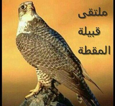 حساب متخصص لقبيلة المقطه من عتيبه يهتم بتاريخ القبيلة العريق والادب والشعر وكل ماهو جديد