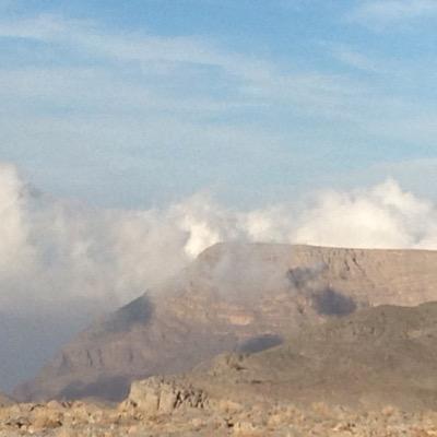 sadiiforever's profile picture. ✌️