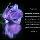 carmen yovera - @gatitayoba - Twitter