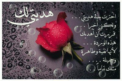 ‏اختيار الموقع .. الزمن .. العقود .. الملتزم .. المدير التنفيذي المتخصص للمشروع .... تنجح خططك .. !.
... احذر وضع البيض بسلة الحجارة !. ‏