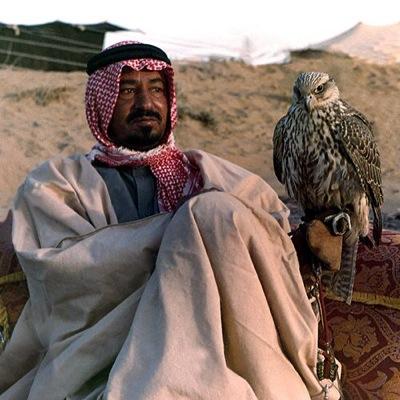 بسم الله ولاحول ولا قوة الا بالله