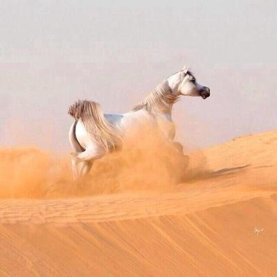 .أناقة اللسان هي ترجمه لــ أناقة الروح.