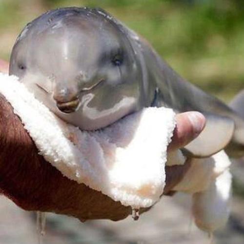 NickChumak's profile picture. 