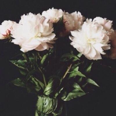 iisar_a's profile picture. # استغفرالله اللهم لا تدع لنا ذنباً إلا غفَرته. وان غفت عيني للأبد فاجعلها يالله غفوة للجنة .