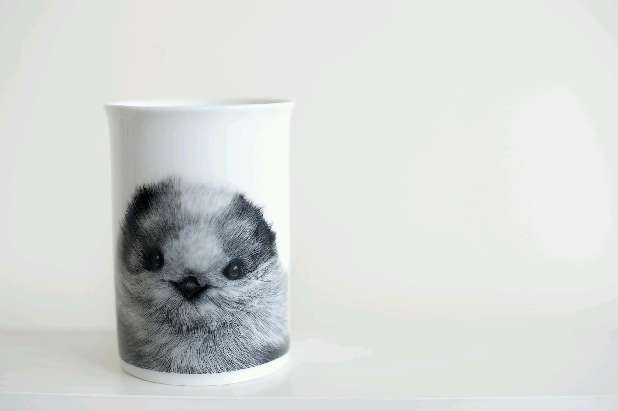 AtelierPolarite's profile picture. illustration and design