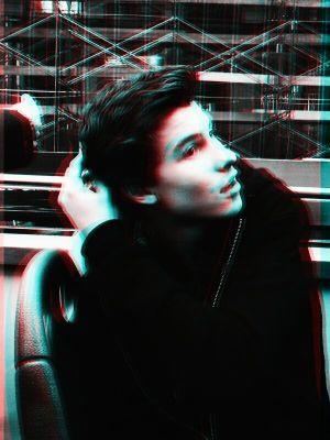 ✨ shawn mendes aka my world ✨