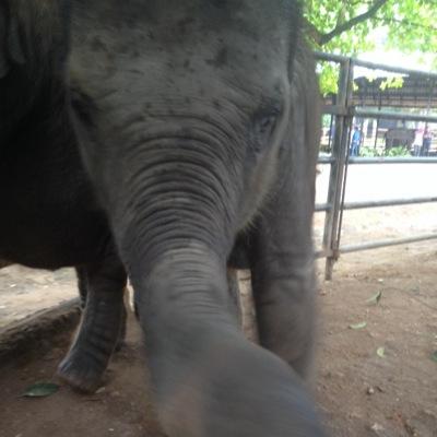 ItAllDay's profile picture. Not sure why you're following me. I'm lost.