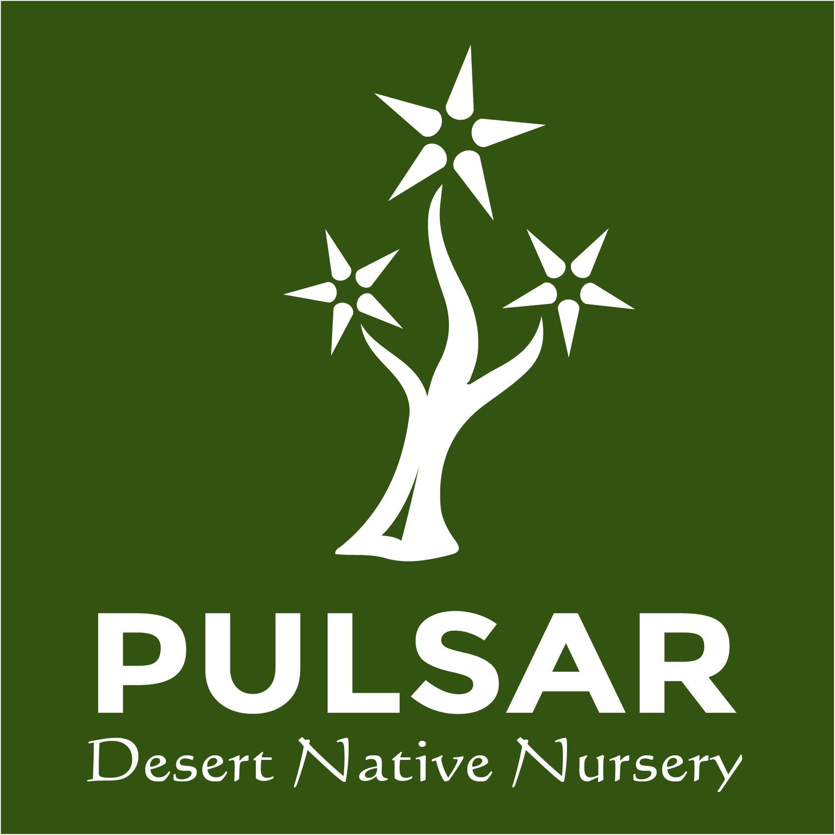 Long lasting, water-smart plants grown in the native desert climate. El Paso Christmas trees, plants, pines, aloe vera, shrubs, lawn grass, & more!