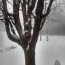 Seth Sullivan - @SethSullivan4 - Twitter