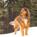 Lea Roy Vachon - @RoyVachon - Twitter