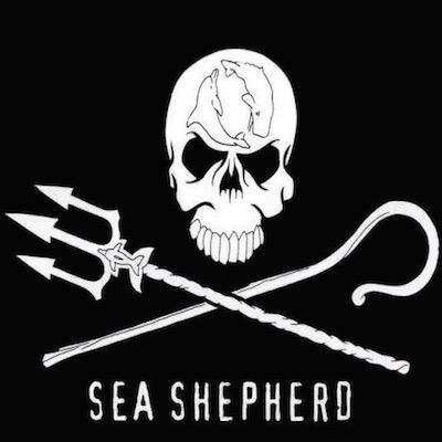Defender. Conservar. Proteger: Sea Shepherd Conservation Society en defensa de la fauna marina.