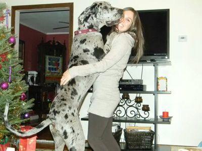 Lviggy's profile picture. you cant be let down if you dont expect the world