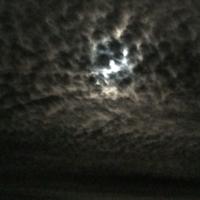 joooordiiii (@tauitxi) 's Twitter Profile